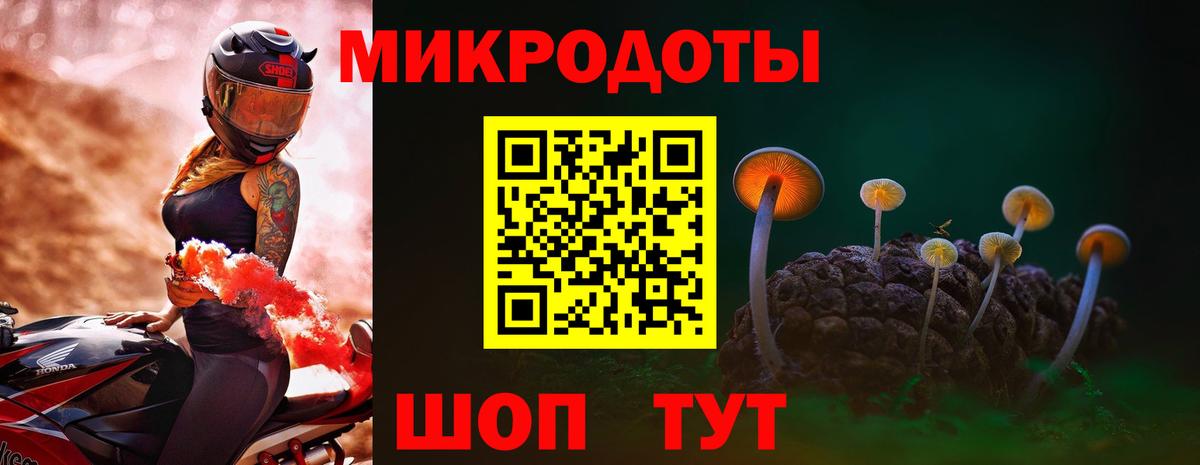 Киров  Псилоцибиновые грибы GOLDEN TEACHER  Вход с VPN 